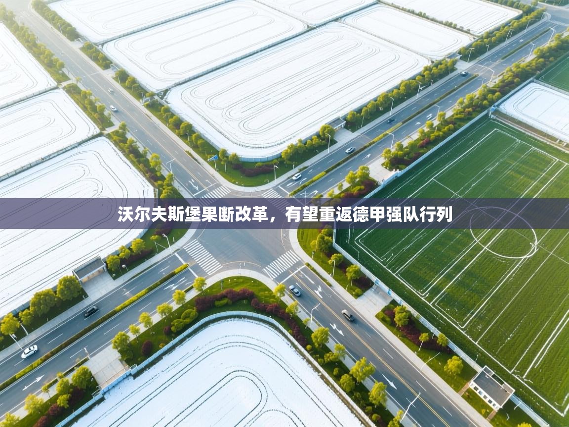 沃尔夫斯堡果断改革，有望重返德甲强队行列  第1张