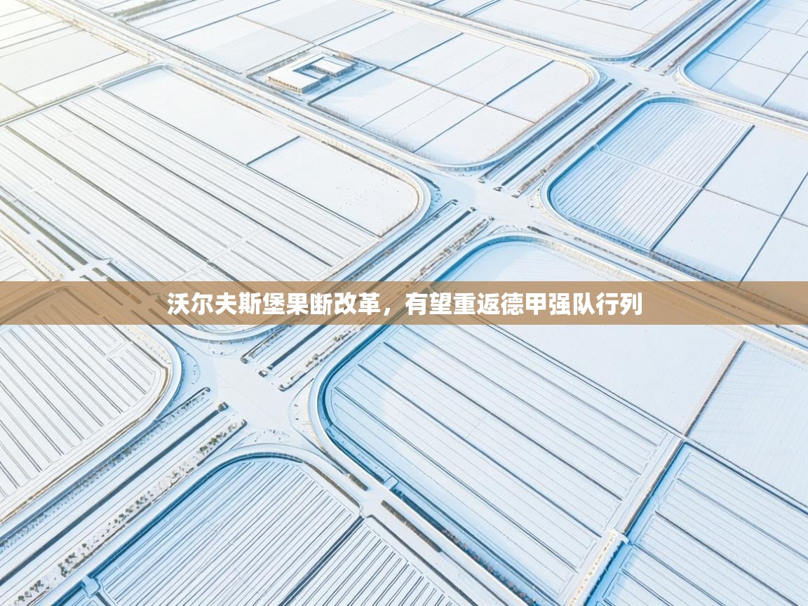 沃尔夫斯堡果断改革，有望重返德甲强队行列  第2张