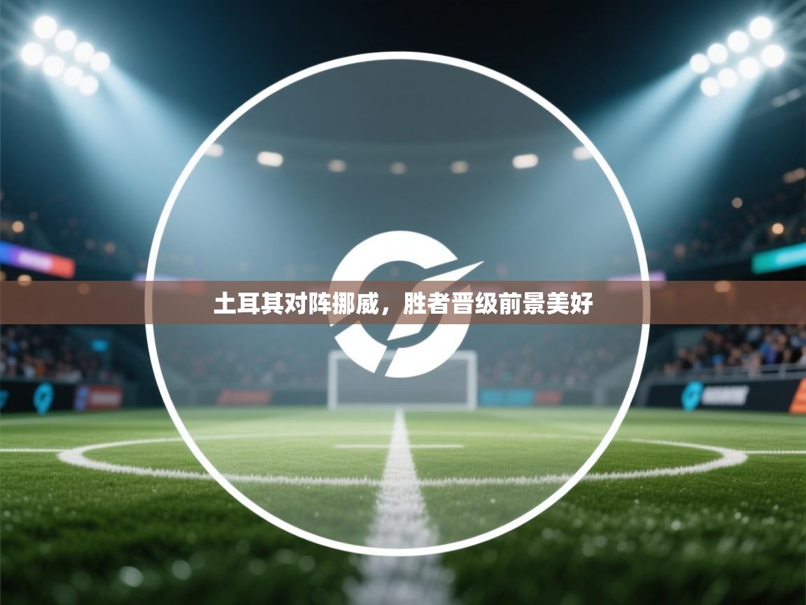 土耳其对阵挪威，胜者晋级前景美好  第2张