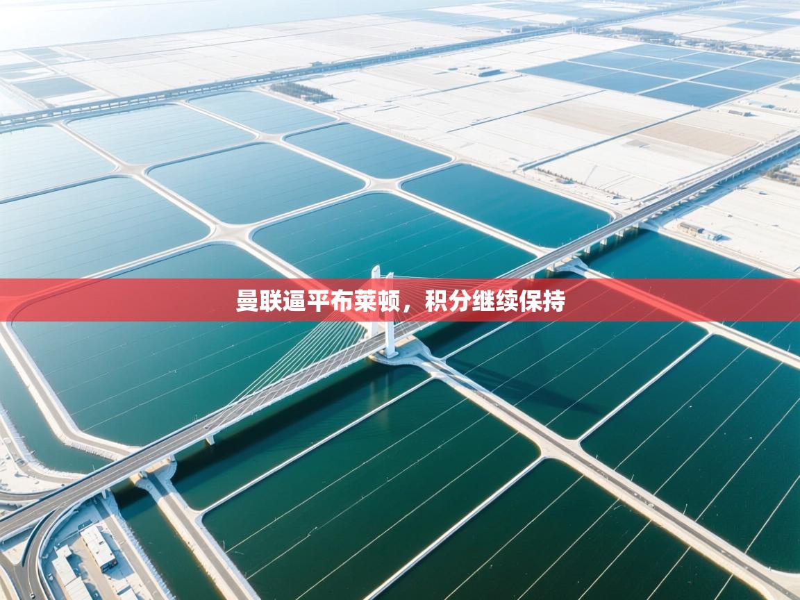 曼联逼平布莱顿，积分继续保持  第1张