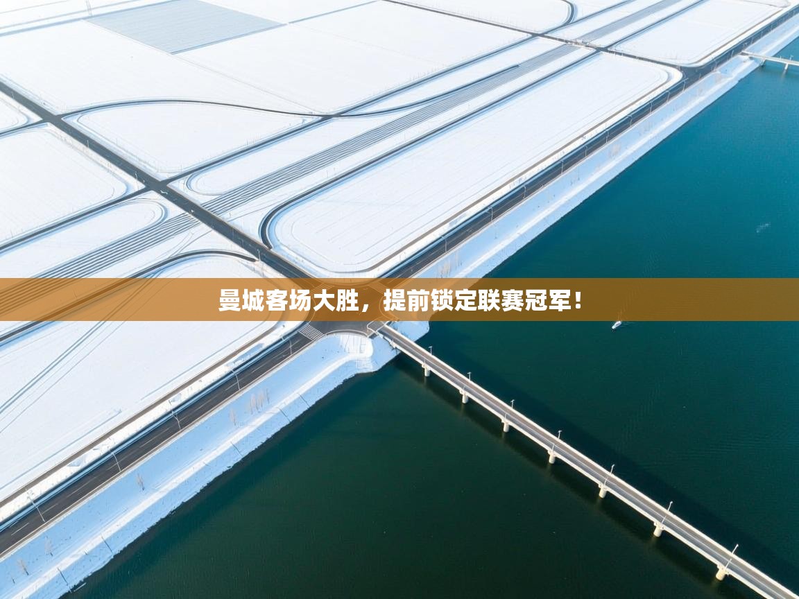 曼城客场大胜，提前锁定联赛冠军！  第1张